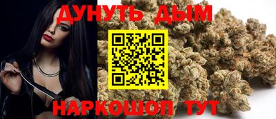 шишки Моздок