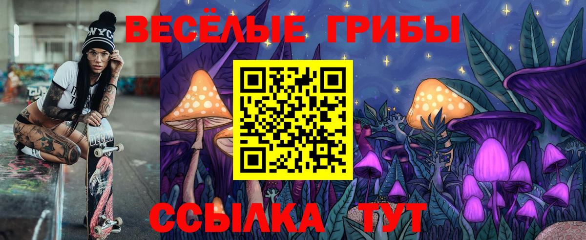 Тайшет  Псилоцибиновые грибы ЛСД  Вход с VPN 